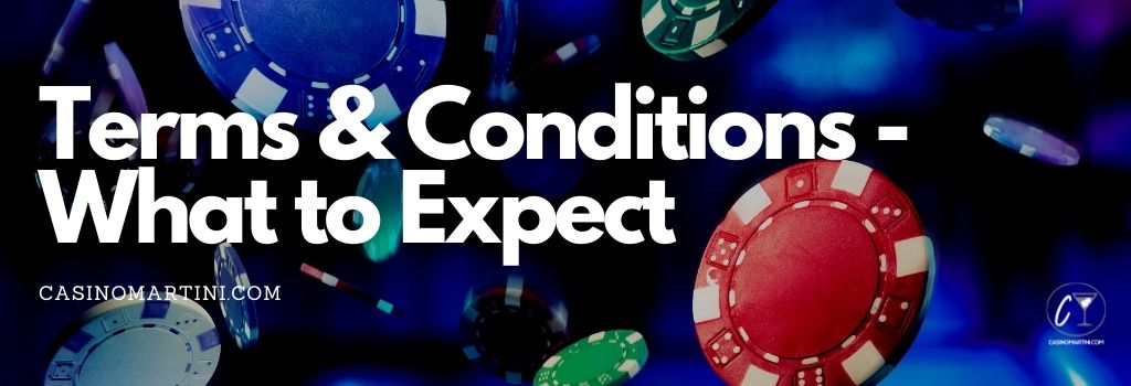 Terms & Conditions - What to Expect