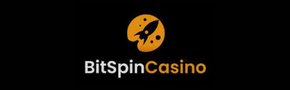 Bitspin casino logo